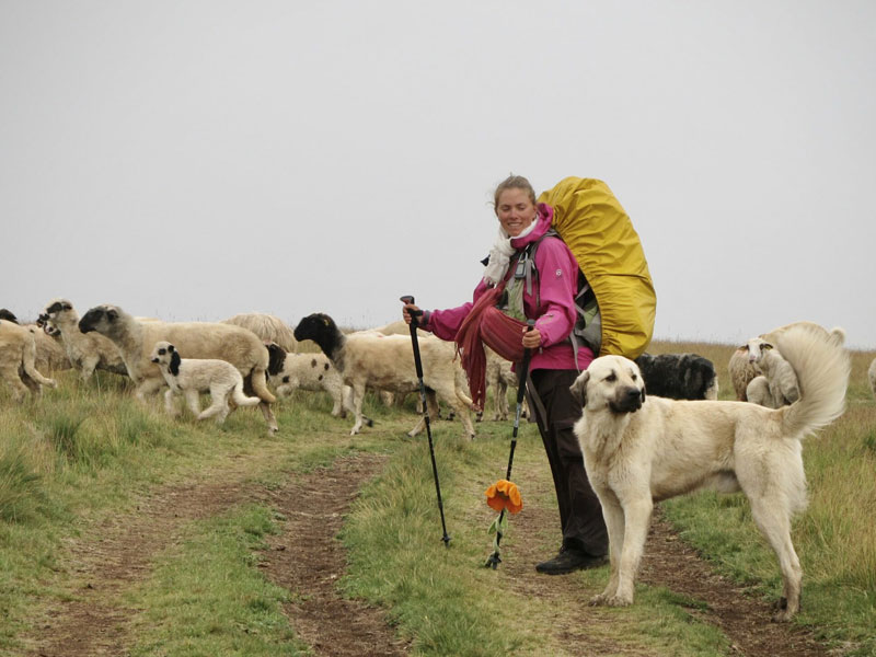Film Pieds Libres Caroline Moireaux