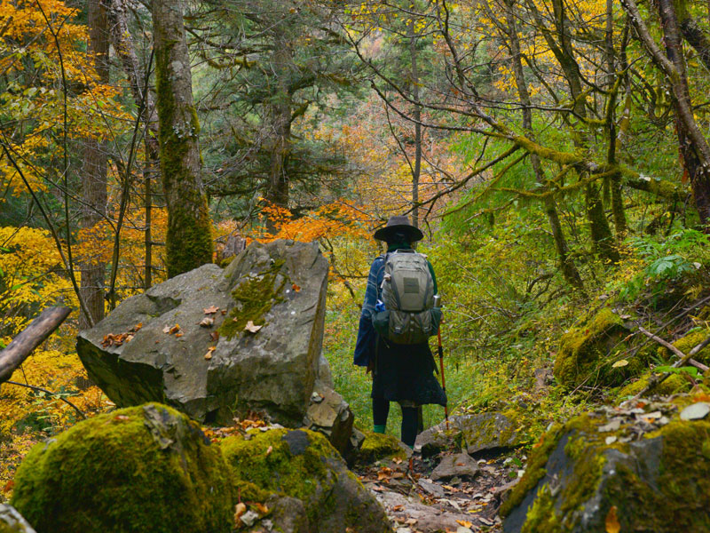 Chemin Stevenson Gr70