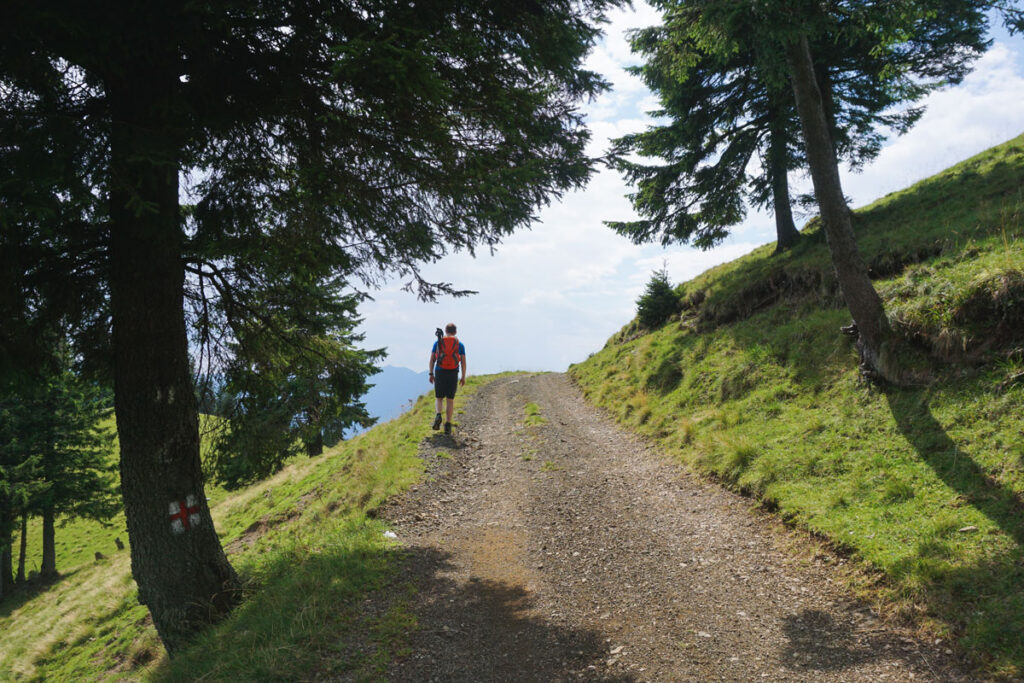 Marche de Henry David Thoreau
